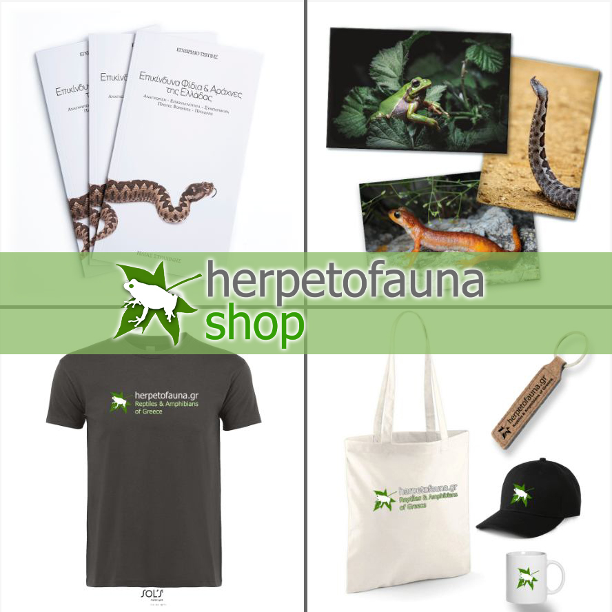 herpetofauna.shop